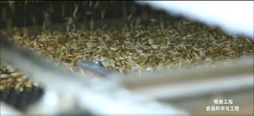 粮食工程专业介绍